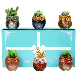 BUYMAX 6 Pack Animal Succulent Plant Pots, 3.0 Inch Mini Owl Ceramic Succulent Planter Pots - Owl Planter for Plants Flower Cactus with Drainage Hole,Gift Box Packaging-Plants Not Included