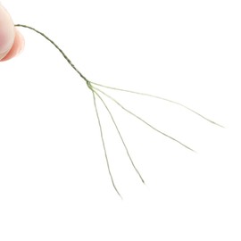 ANGRYFISH 4 Strands Super Strong Braided Fishing Line- Less Expensive -Zero Stretch -Small Diameter-Suitable For Novice Fishermen 500YD-Green50LB