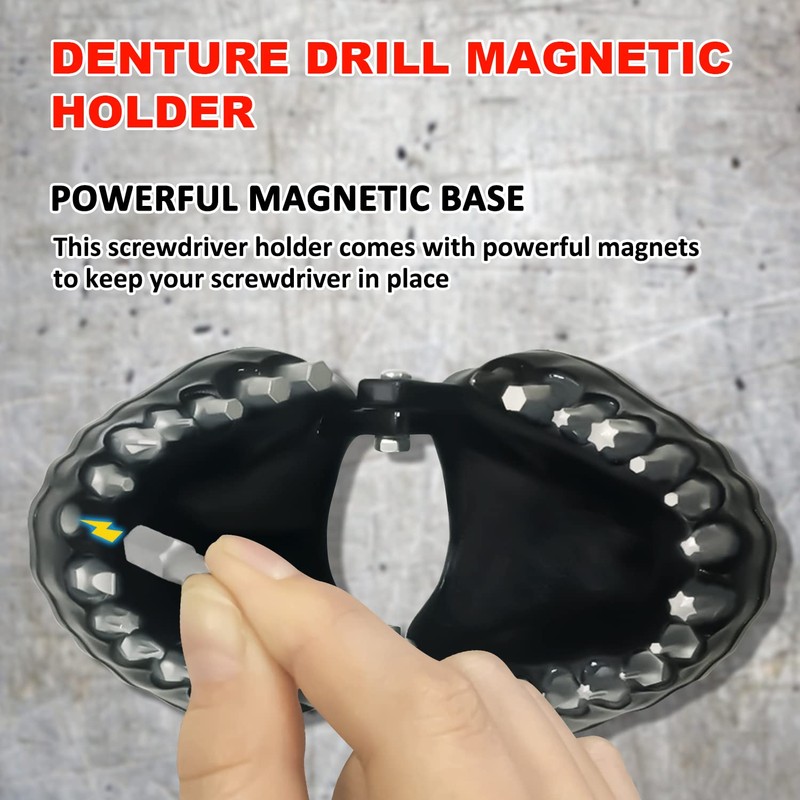 Denture Drill Bit Holder with 28 Bits fits 1/4 Inch