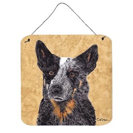 Caroline's Treasures SC9141DS66 Australian Cattle Dog Wipe Your Paws Wall or Door Hanging Prints Aluminum Metal Sign Kitchen Wall Bar Bathroom Plaque Home Decor, 6x6, Multicolor