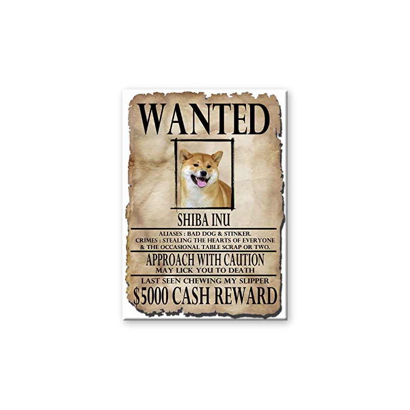 Shiba Inu Wanted Fridge Magnet No 1