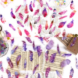 WENSIDUO 240 Pcs Transparent Feather Stickers Set 6 Styles, Self-Adhesive Vintage Natural Stickers for Scrapbooking, Journal, Notebook, Laptop, Cell Phone.