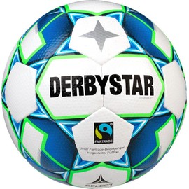 DERBYSTAR Unisex - Adult Gamma TT Training Ball, White, 5