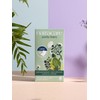Natracare Panty liner long type 5 pack / 팬티라이너 롱형 5팩 구성
