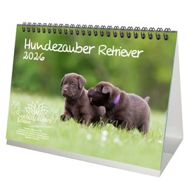 Hundezauber Retriever DIN A5 Desk Calendar for 2026 Puppies and Dogs - Set Contents: 1 x Calendar, 1 x Christmas Pendant, 1 x Greeting Tag (3 Pieces)