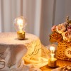 Aurelema 4.4 x 2.7 Inch Large Rechargeable USB Light Bulb