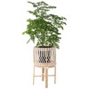 Kouboo Round Rattan Planter Stand with Handmade White Cotton Rope