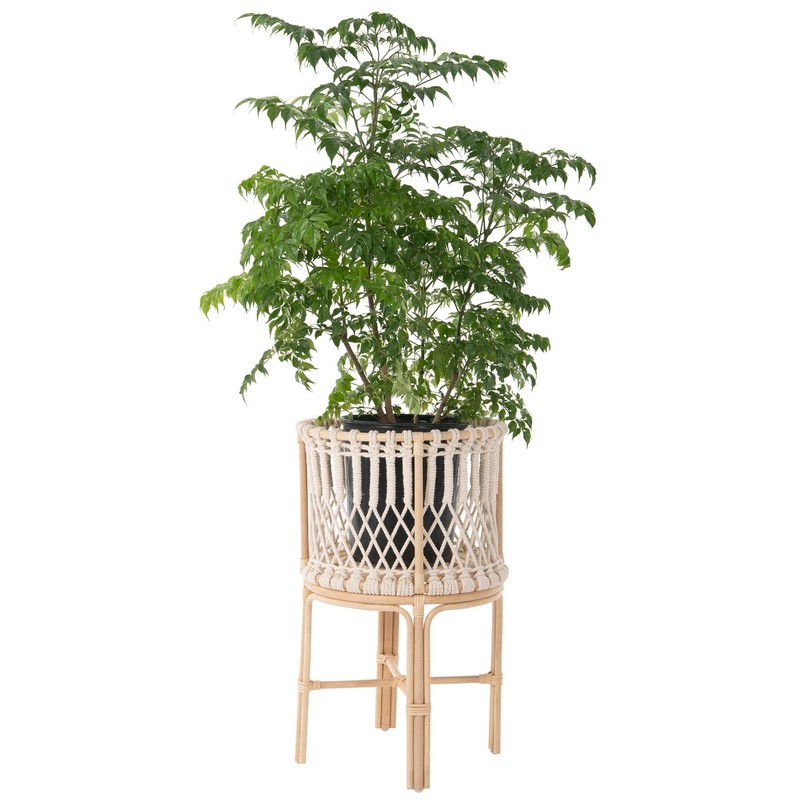 Kouboo Round Rattan Planter Stand with Handmade White Cotton Rope