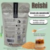Hongo Adaptógeno, Extracto Puro 100% Soluble 100g.