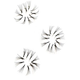 Premade Flan Lashes (Hand Made) for Eyelash Extension (500 Fans/Tray) D Curl (11mm, 8D)