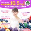 FINE JAPAN Jelly Supplement Daily Fruit + Iron 200g (10g