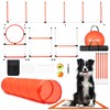 Dog Agility Course Backyard Set, Dog Agility Equipment, Pet obstacle