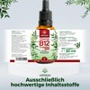 Vimion Vitamin B12 Drops, Alcohol-free, Bioactive B12 as Methylcobalamin and