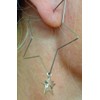 Delicate star hoop earrings made of stainless steel. Star-shaped large