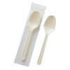 Torne Antibacterial Spoon, 6.3 inches (16 cm), Pack of 5,