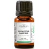 Essential Oil of Radiant Eucalyptus Organic - My Cosmetics -
