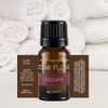 SpaRoom Aromatherapy 100% Pure Undiluted Essential Oil, Escape Cedar Floral