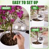2 Pack 26 oz Extra Large Plant Self Watering Globes