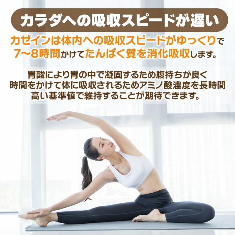 NICHIGA(ニチガ) カゼイン ミセル プロテイン 500ｇ [牛成長ホルモン不使用] Casein Protein 乳化剤甘味料香料不使用 プレーン味