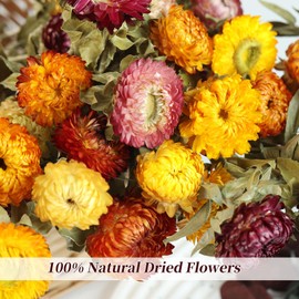 Natural Dried Daisy Flowers Bouquet - 20 Pcs Multicolor Dried Flower Bouquets for Home Decoration, Wedding, Party, Centerpieces, DIY Crafts, Fall Decor