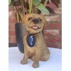Vivid Arts - Real Life-like Border Terrier - XRL-BORD-D