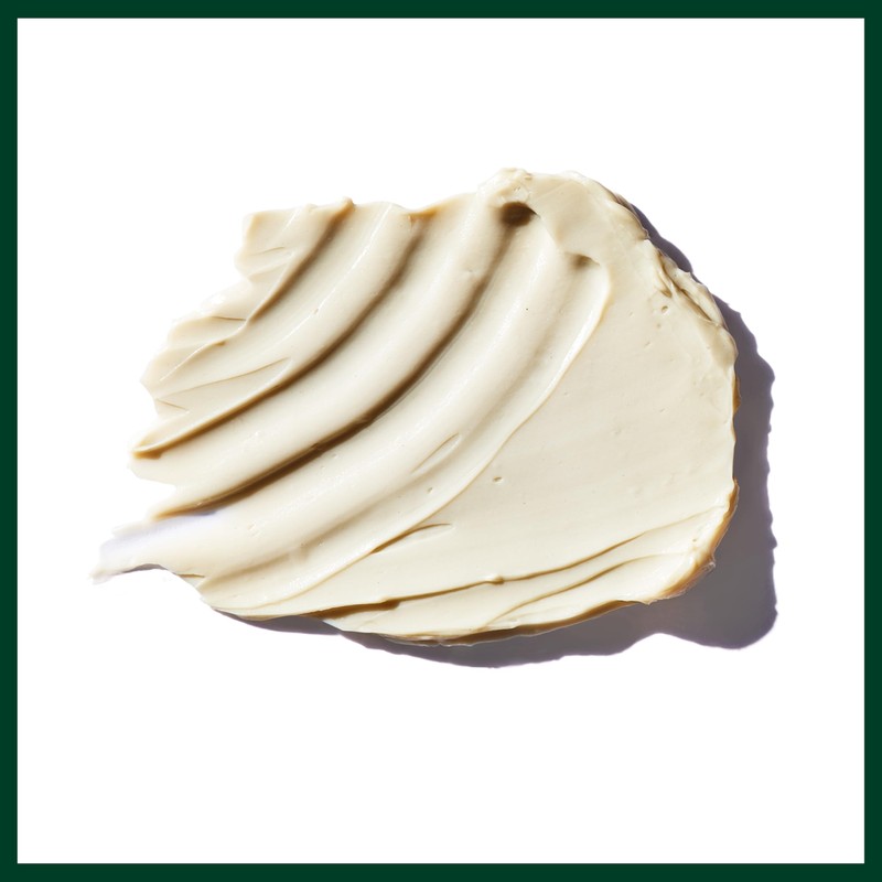 Aveda Botanical Kinetics Deep Cleansing Clay Masque | Clarifying Masque