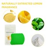 100pcs Shoe Deodorizing Stickers, Natural Shoe Odor Removal Stickers, Deodorizing