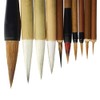 CENPEK 10 Piece Set Excellent Chinese Calligraphy Brush Kanji Japanese