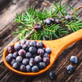 COMMON JUNIPER SEEDS (30) / Tree / Shrub / JUNIPER BERRY