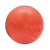 ICA PM90 Toy Ball Solid Rubber Assorted for Dogs