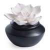 Airomé White Flower, Porcelain Passive Essential Oil Diffuser (with 15ml