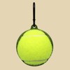 FeiYeup Ball Holder Tennis Holder with Dog Leash Attachment Pet