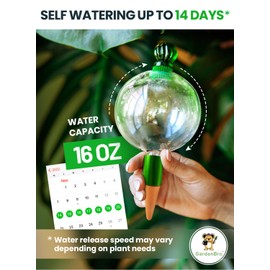 16 Oz Plant Watering Globes for Indoor Plants with Terracotta Self Watering Planter Insert - Hand-Blown XL Glass Globes - Automatic Indoor Planter Waterer, Gift Idea for Gardeners [1, Emerald]