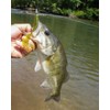 Yum Lures Grub Smoke Silver Flake, 2"