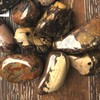 BellaMira Nguni Jasper Tumblestone Healing Crystal, Single Polished Stone, Healing