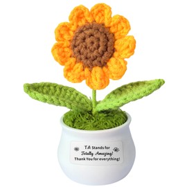 AMZQ Teaching Assistant Gift Teacher's Aide Gift TA Stands for Totally Amazing Present