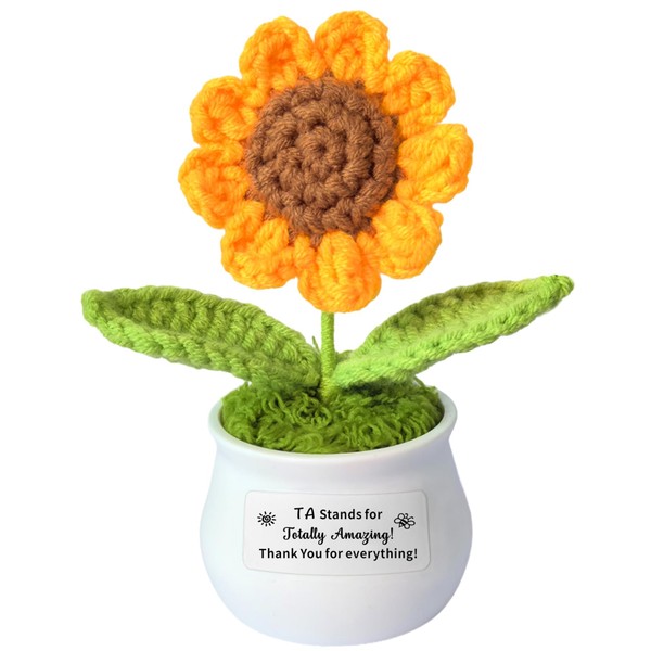 AMZQ Teaching Assistant Gift Teacher's Aide Gift TA Stands for