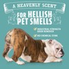 ANGRY ORANGE Pet Odor Eliminator for Dog and Cat Urine,
