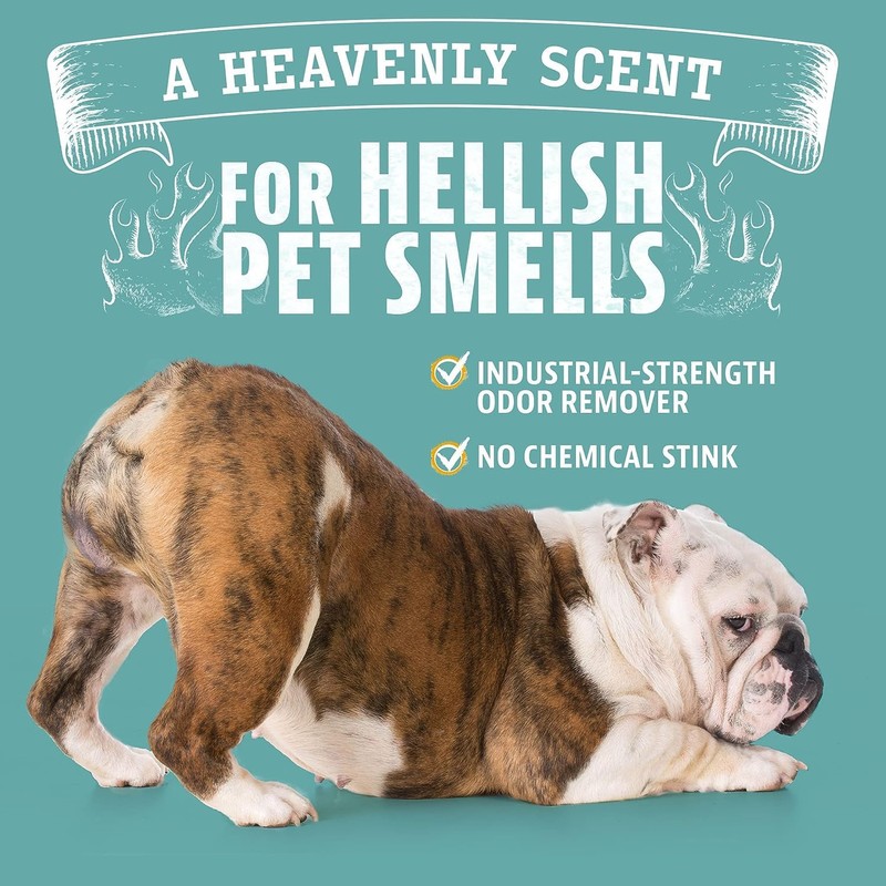 ANGRY ORANGE Pet Odor Eliminator for Dog and Cat Urine,