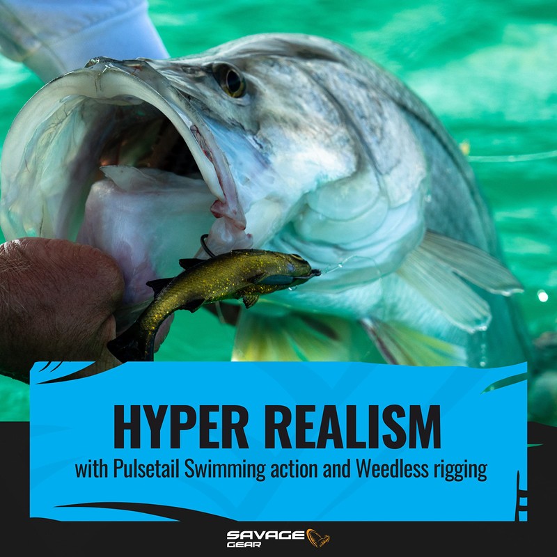 Loose Body Pulse Tail MulletSinking Lure