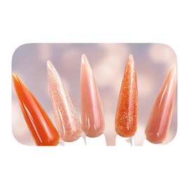VanZeig's "Demure Nudes"- 3 in 1 Shimmery Nude Acrylic Powder 13 Piece Collection (2oz jars, 5Pk)