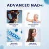 NAD+ Trans-Resveratrol Supplement, 800mg