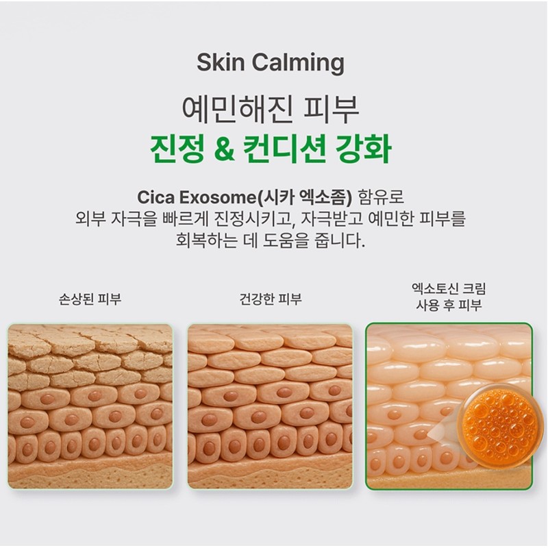 Bottederm Exotocin Elisier Moisture Cream 150ml / 보떼덤 엑소토신 엘리시어