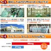 ウコン 金の鬱金 (粉末) 沖縄県産無農薬ウコン100％使用 生姜エキス配合 30g×3P