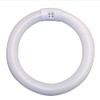 Vision-Luxo 31640 22W T-9 Fluorescent Bulb, Glass, White