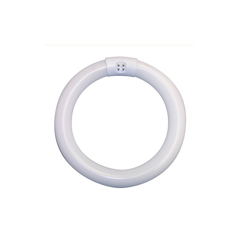 Vision-Luxo 31640 22W T-9 Fluorescent Bulb, Glass, White
