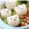 Rice Ball Mold Non-Stick Sushi Making Kit Cartoon Animal Mini