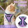rabbitgoo Cat Harness and Leash for Walking, Escape Proof Soft