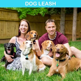 4 Pack Carabiner Clip, Aluminum D-Ring Shape Locking Carabiners, Snap Hook Sport Accessories for Outdoor Camping Hiking (Multiple Colors)