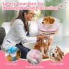 Didopet Inflatable Dog Cone with Transparent Shield, Protective Dog Donut